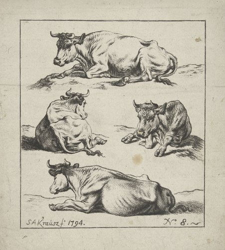 Studies van koeien en schapen