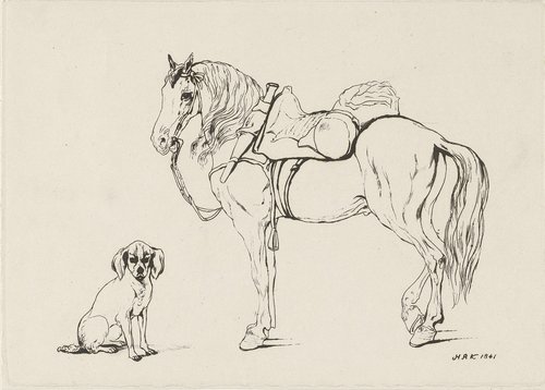Gezadeld paard en een hond