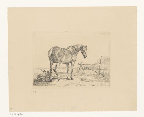Landschap met paard bij een hek