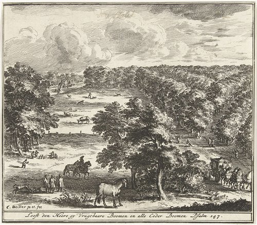 Landschap met bomen in vogelvluchtperspectief