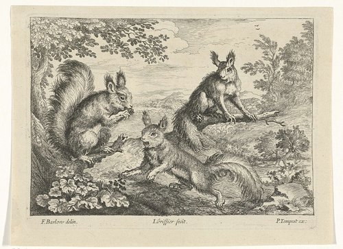 Verschillende dieren