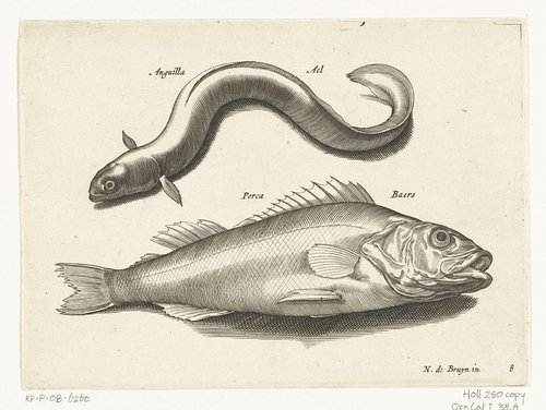 Zoetwatervissen, zeevissen, kikkers, schaaldieren en zeewezens by anonymous