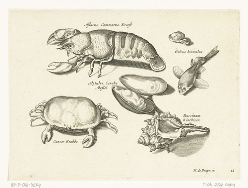 Libelivs varia Genera piscium complectens by anonymous