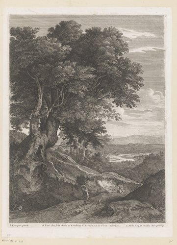 Landschappen met hoge bomen