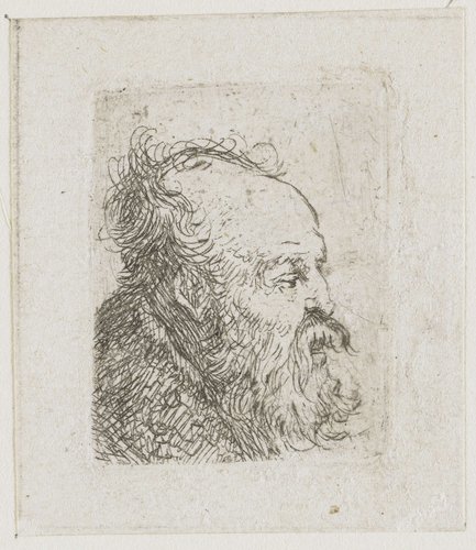 Sheet of studies of men's heads: old bearded man nearly in profile to right: mouth half open by Rembrandt van Rijn