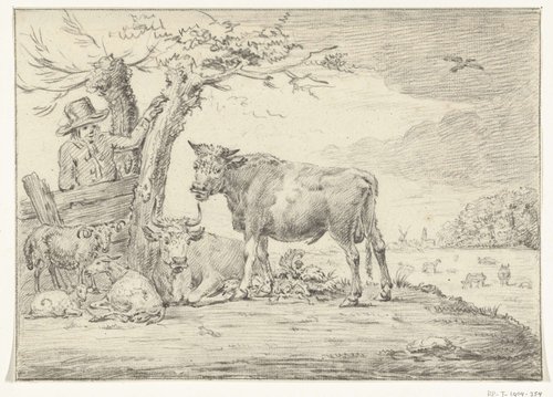 Boer staande bij een hek met vee
