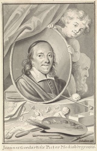 Portret van Johannes Goedaert