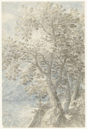 Bomen bij steile rotswand