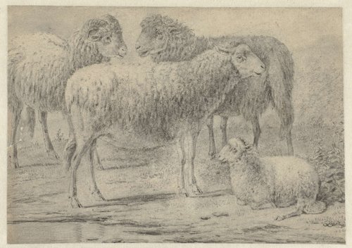 Three Standing Sheep and a Recumbent Lamb