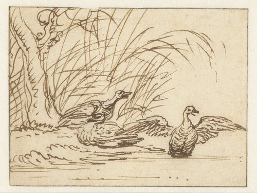 Drie eenden aan de waterkant