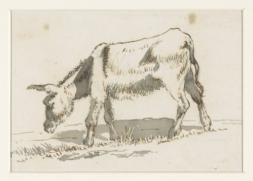 Grazende ezel, van links