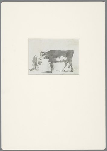 RP-T-1956-157