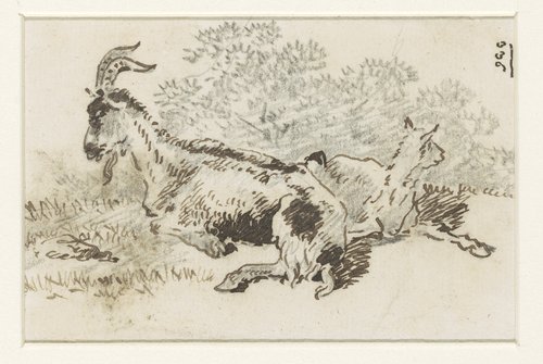 Geit en jong in een landschap