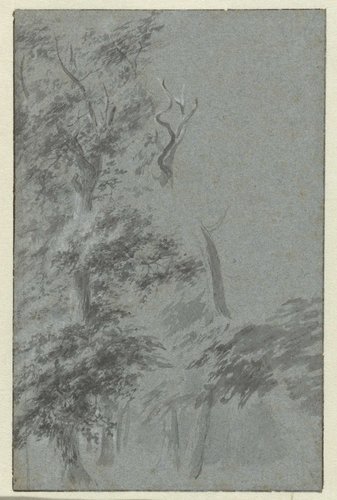 Bosgezicht by anonymous