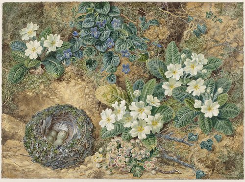 Stilleven van een vogelnestje, viooltjes, primula's en appelbloesem by Thomas Frederick Collier
