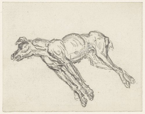 Dode hond by Georges Michel