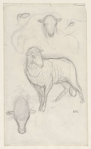 Studie van een schaap en drie schaapskoppen