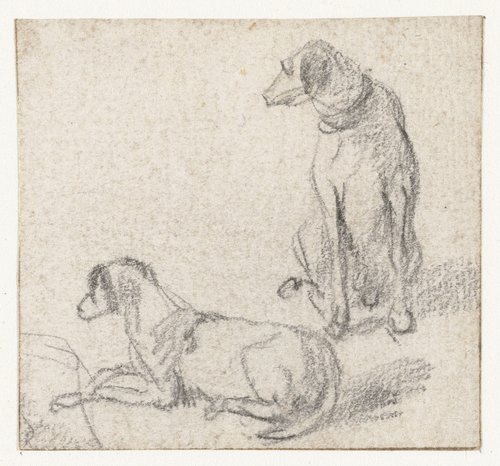 Zittende en een liggende hond