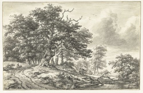 Boslandschap met een vennetje