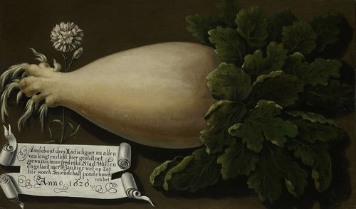Een reuzenradijs by anonymous