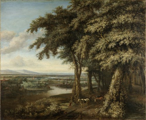 De ingang van het bos