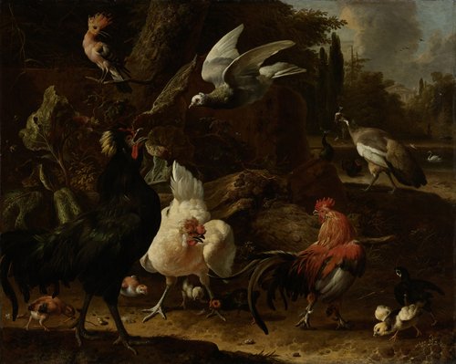 Vogels in een park