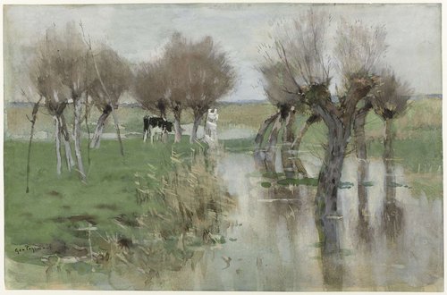 Hoog water in het weiland