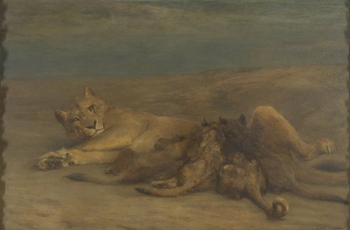 Een leeuwin met vier zogende welpen, genaamd 'Moederliefde'