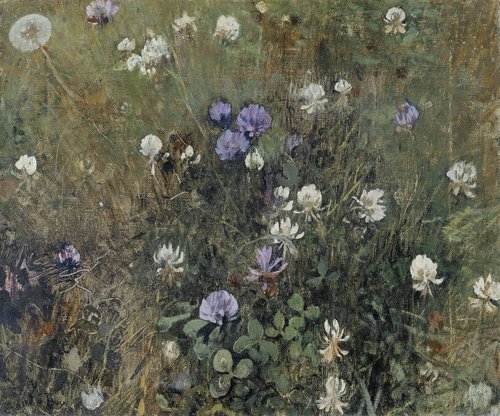Klaverbloemen