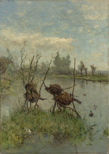 Ducks’ Nests