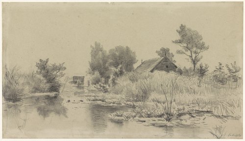 Waterplas met riet, met op de achtergrond een boerderij