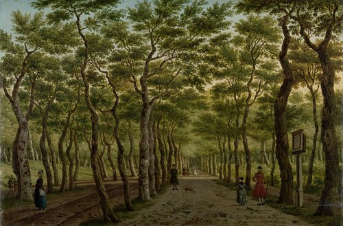 The Herepad in the Haagse Bos