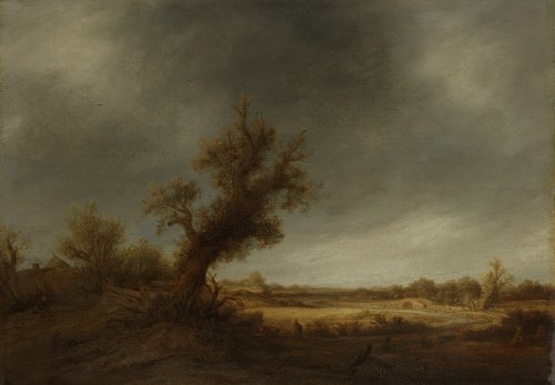 Landschap met oude eik