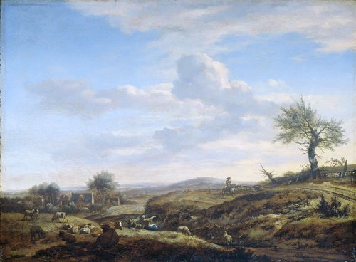 Heuvelachtig landschap met hoge weg