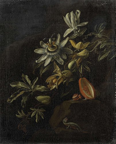 Stilleven met passiebloemen