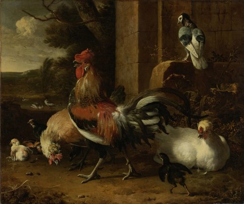 Hoenderhof