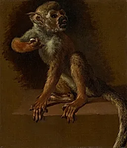 A Seated Monkey