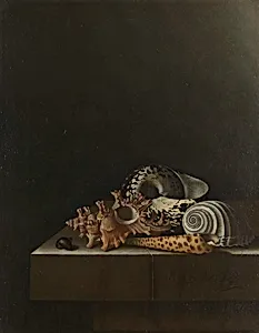 Shells on a Stone Plinth