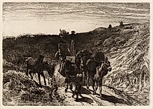 A Burro Train, New Mexico