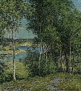 A Family of Birches