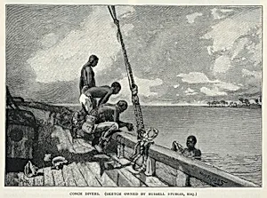 A Hurricane, Growing Hemp, On Abaco Island, A Flower Seller, Conch Divers, from The Century Magazine, February 1887