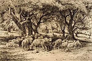 (A New England Orchard)