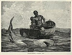 A Peddler, A Nassau Gateway, Shark-Fishing--Nassau Bar, from The Century Magazine, February 1887
