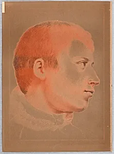 A Young Man's Head