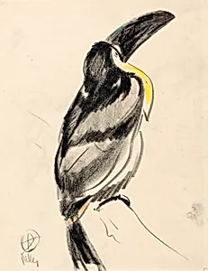 Aerial Toucan