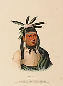 AMISKQUEW. A MENOMINIE WARRIOR., from History of the Indian Tribes of North America