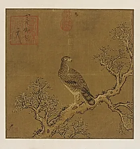 An eagle on a branch