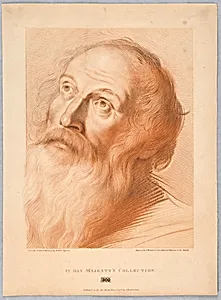 An Old Man's Head