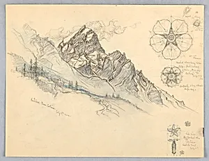 Antelao, From Cortina, with Studies of Flowers