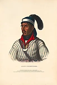 Apauly-Tustennuggee